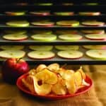 How to Prepare Food for Dehydrating