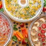 Why you Should Dehydrate for Backpacking